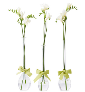 Sleek & Chic Set of Three, Tear Drop Vases