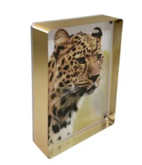 Gold Prestige Magnet Frame